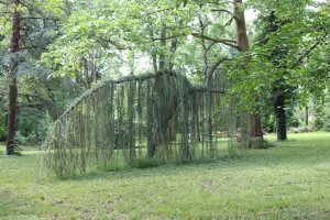 Photo-Parc-4-scaled.webp